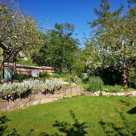 Schieferquartier - Charmantes Haus Im Gruenen Mit Terrasse Und Carport Lägenhet Erfurt